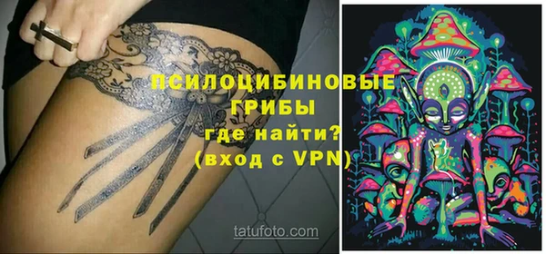 ешки Нефтегорск
