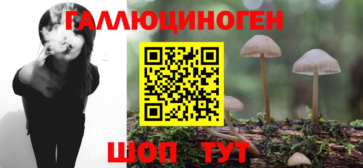 Рославль  Псилоцибиновые грибы мухоморы  Галлюциногенные грибы Psilocybe  Вход с VPN 
